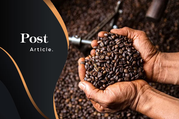 Kopi biji premium jakarta